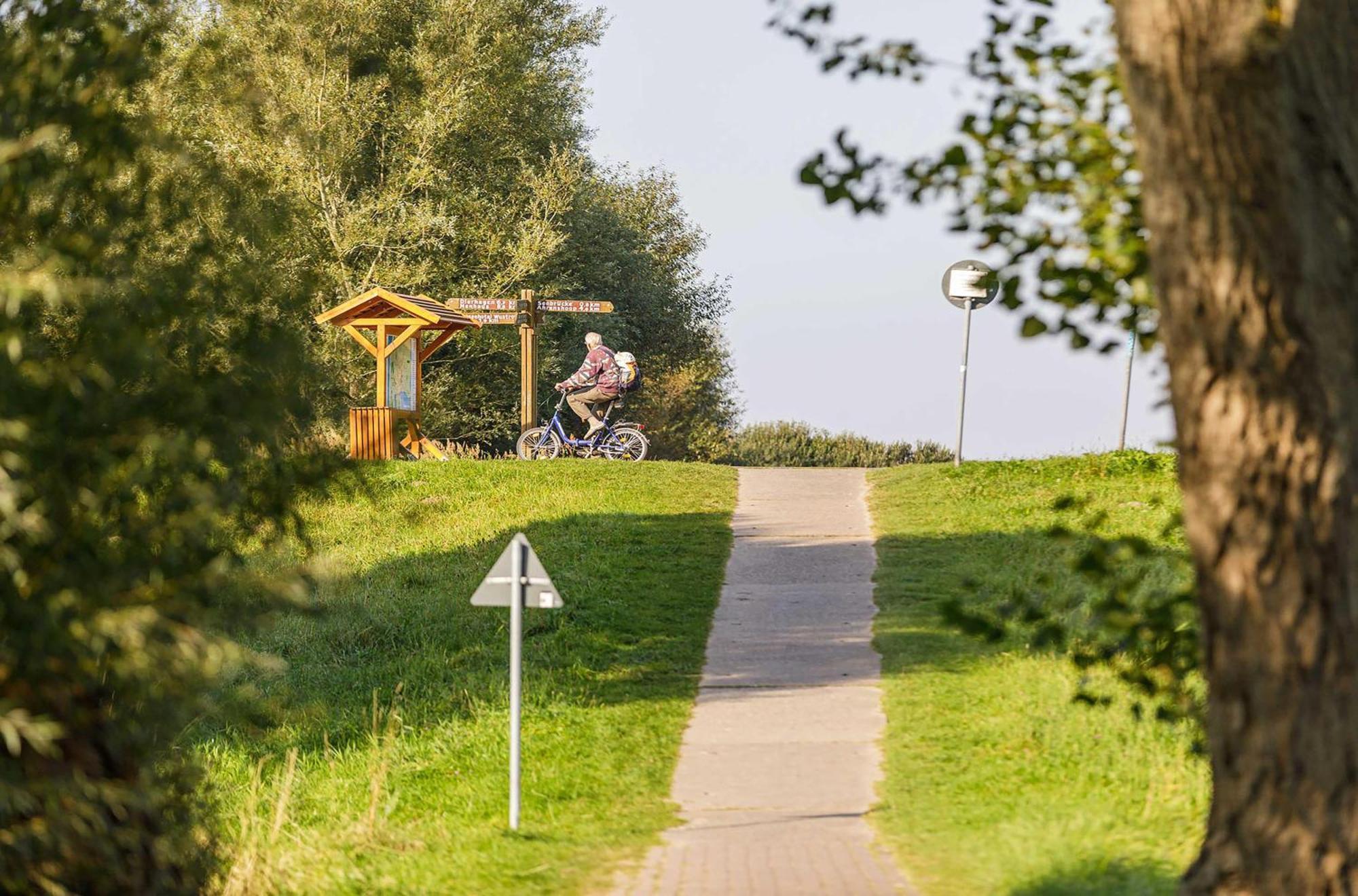 Seeschwalbe In Der Alten Seefahrtschule Wustrow  Extérieur photo